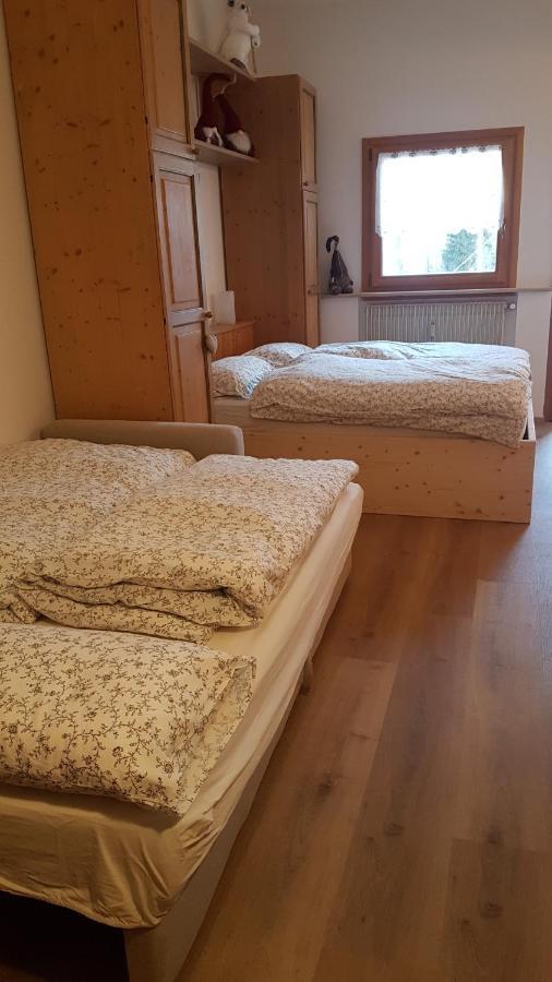 La Casa Degli Gnomi Daire Falcade Dış mekan fotoğraf